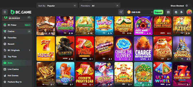 Explore the Exciting Features of BC.Game App