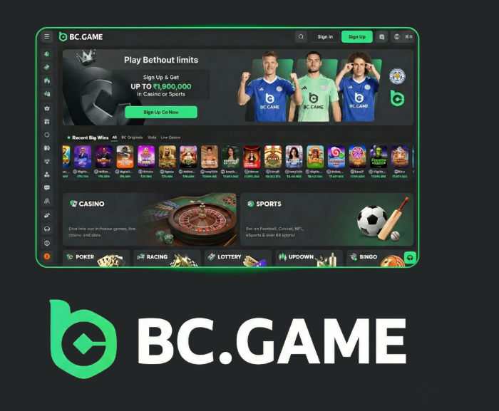 The Ultimate Guide to BC.Game Online Casino